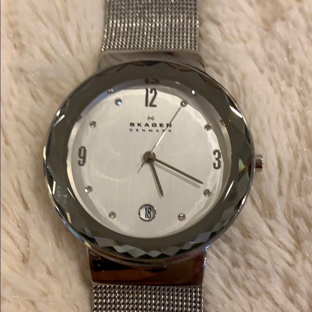 Skagen Denmark mesh watch